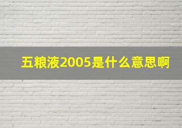 五粮液2005是什么意思啊