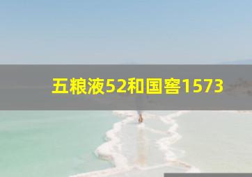 五粮液52和国窖1573