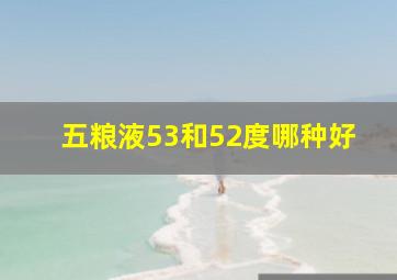 五粮液53和52度哪种好