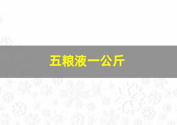 五粮液一公斤