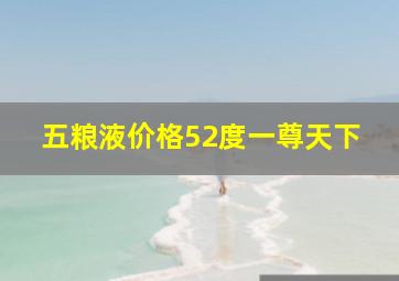 五粮液价格52度一尊天下