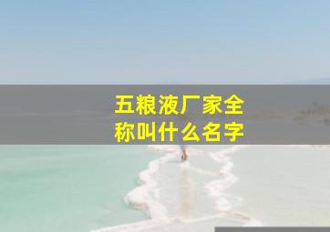 五粮液厂家全称叫什么名字