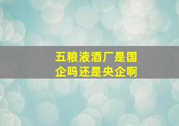 五粮液酒厂是国企吗还是央企啊