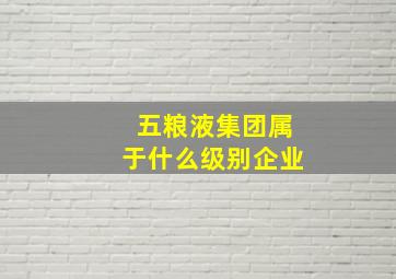 五粮液集团属于什么级别企业