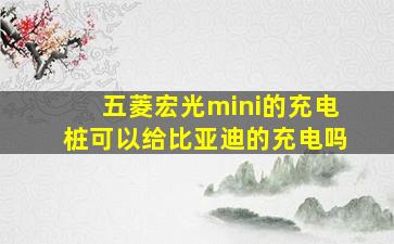 五菱宏光mini的充电桩可以给比亚迪的充电吗