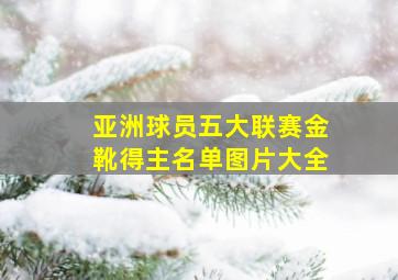 亚洲球员五大联赛金靴得主名单图片大全