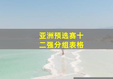 亚洲预选赛十二强分组表格