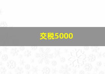 交税5000