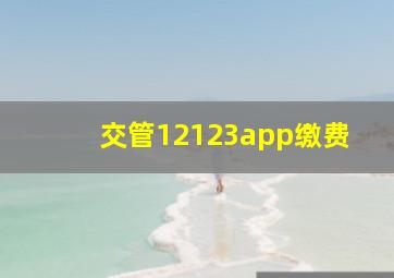 交管12123app缴费