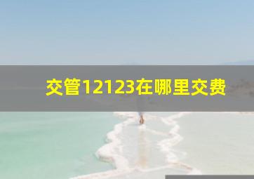 交管12123在哪里交费