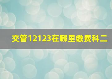 交管12123在哪里缴费科二