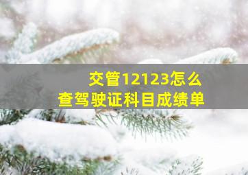 交管12123怎么查驾驶证科目成绩单