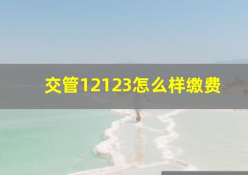 交管12123怎么样缴费