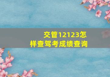 交管12123怎样查驾考成绩查询