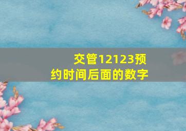 交管12123预约时间后面的数字