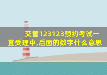 交管123123预约考试一直受理中,后面的数字什么意思