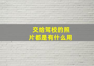 交给驾校的照片都是有什么用