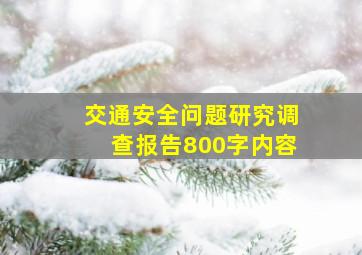 交通安全问题研究调查报告800字内容