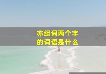 亦组词两个字的词语是什么