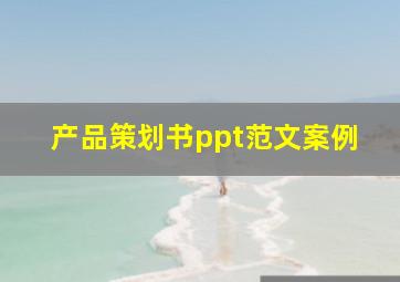 产品策划书ppt范文案例