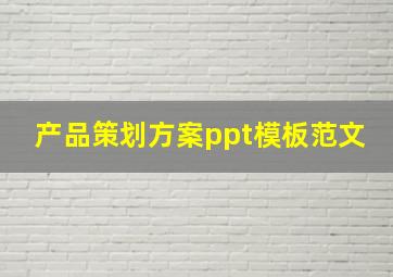 产品策划方案ppt模板范文