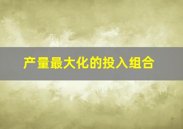 产量最大化的投入组合