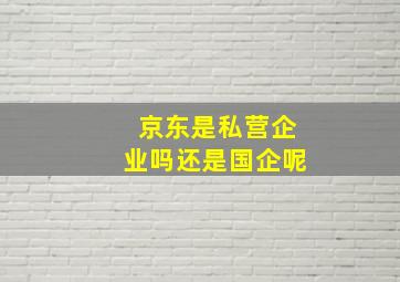 京东是私营企业吗还是国企呢