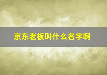 京东老板叫什么名字啊