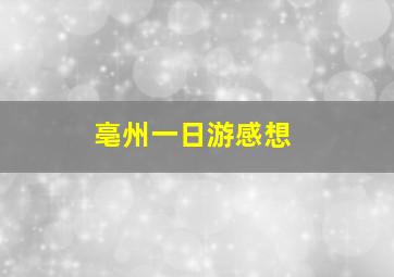 亳州一日游感想