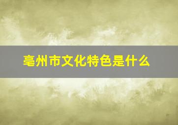 亳州市文化特色是什么