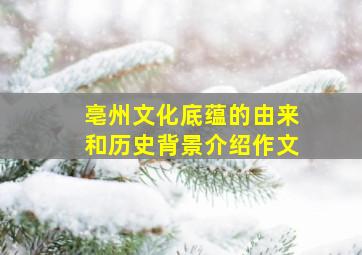 亳州文化底蕴的由来和历史背景介绍作文