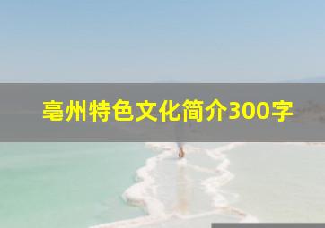 亳州特色文化简介300字