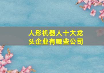 人形机器人十大龙头企业有哪些公司