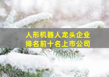 人形机器人龙头企业排名前十名上市公司