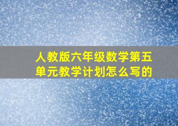 人教版六年级数学第五单元教学计划怎么写的