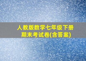 人教版数学七年级下册期末考试卷(含答案)