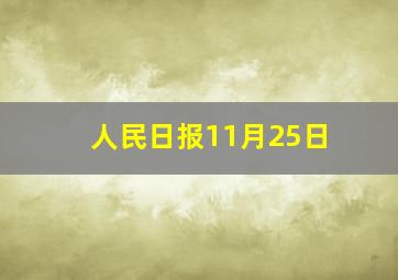 人民日报11月25日