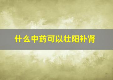 什么中药可以壮阳补肾