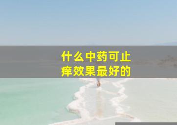 什么中药可止痒效果最好的