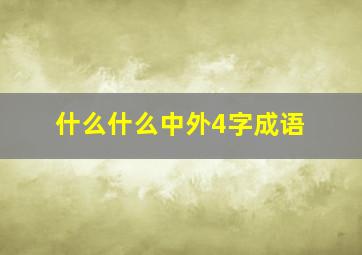 什么什么中外4字成语