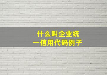 什么叫企业统一信用代码例子