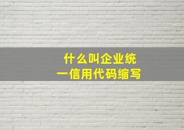 什么叫企业统一信用代码缩写