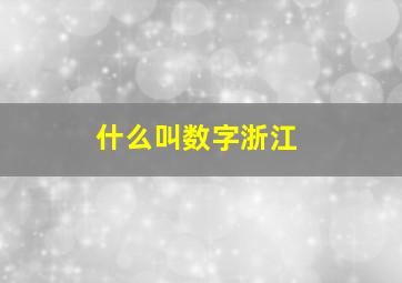 什么叫数字浙江