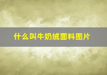 什么叫牛奶绒面料图片