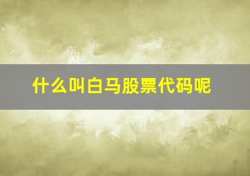 什么叫白马股票代码呢