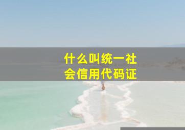 什么叫统一社会信用代码证