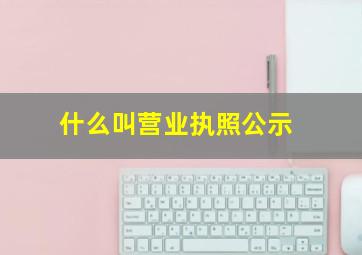 什么叫营业执照公示