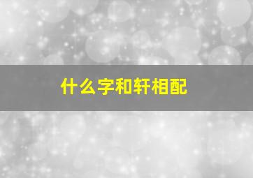 什么字和轩相配