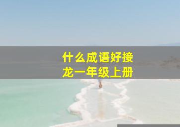 什么成语好接龙一年级上册