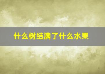 什么树结满了什么水果